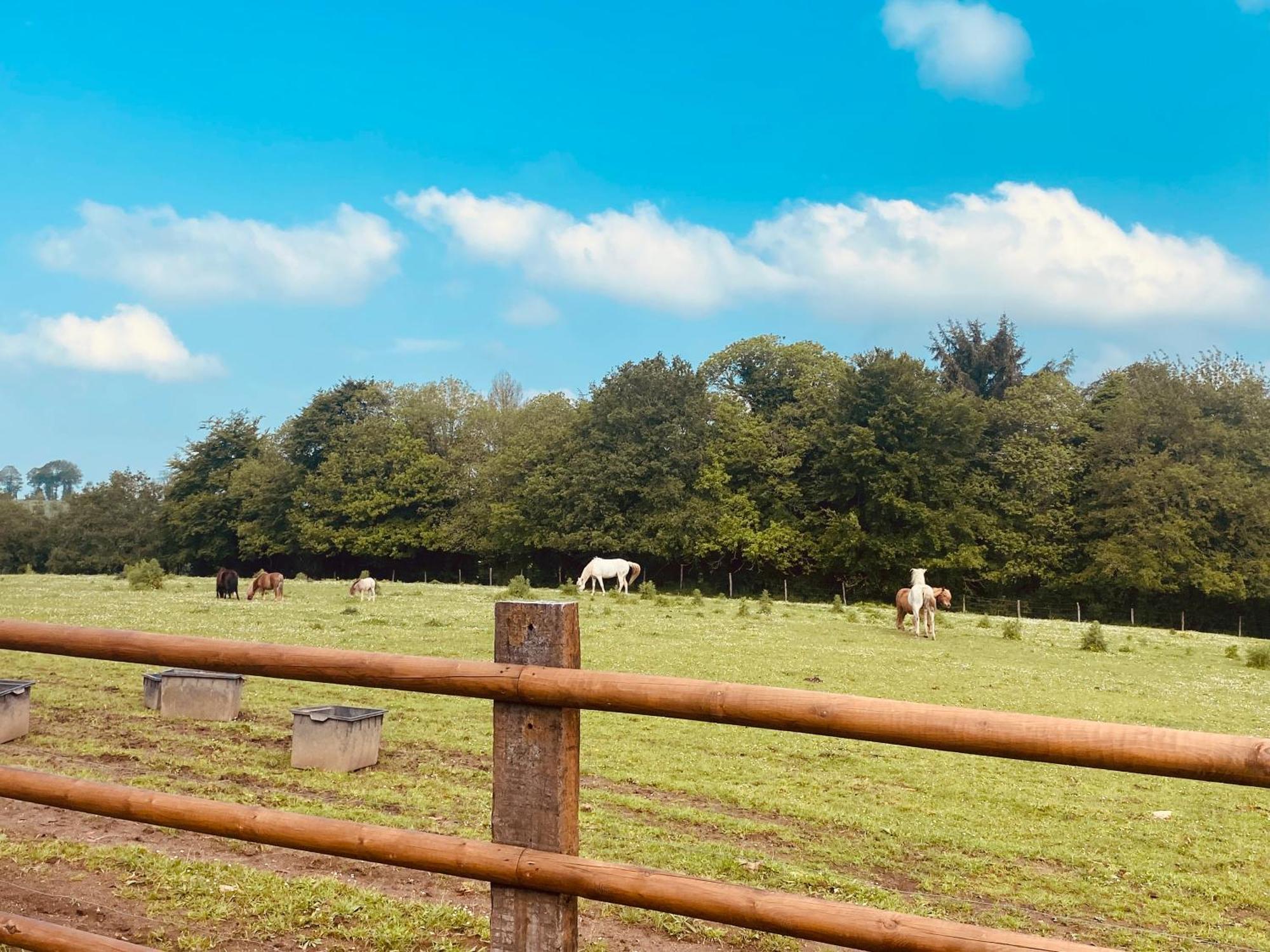 Escapade Dans Un Ranch Leilighet Le Sourn Eksteriør bilde